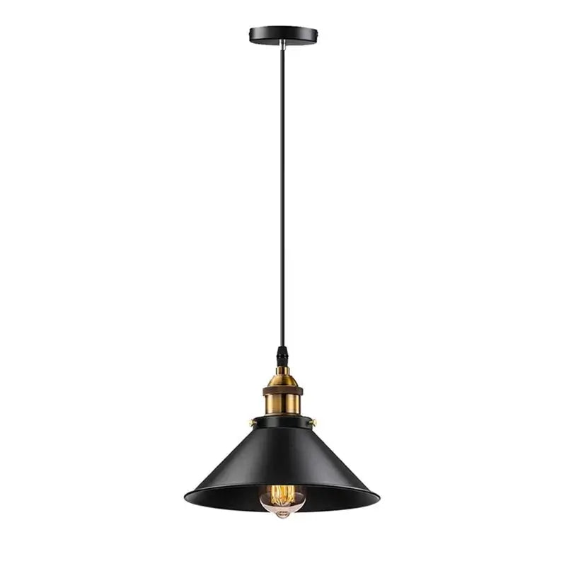 A single black industrial pendant light with a brass lamp holder and an Edison style bulb, isolated on a white background.