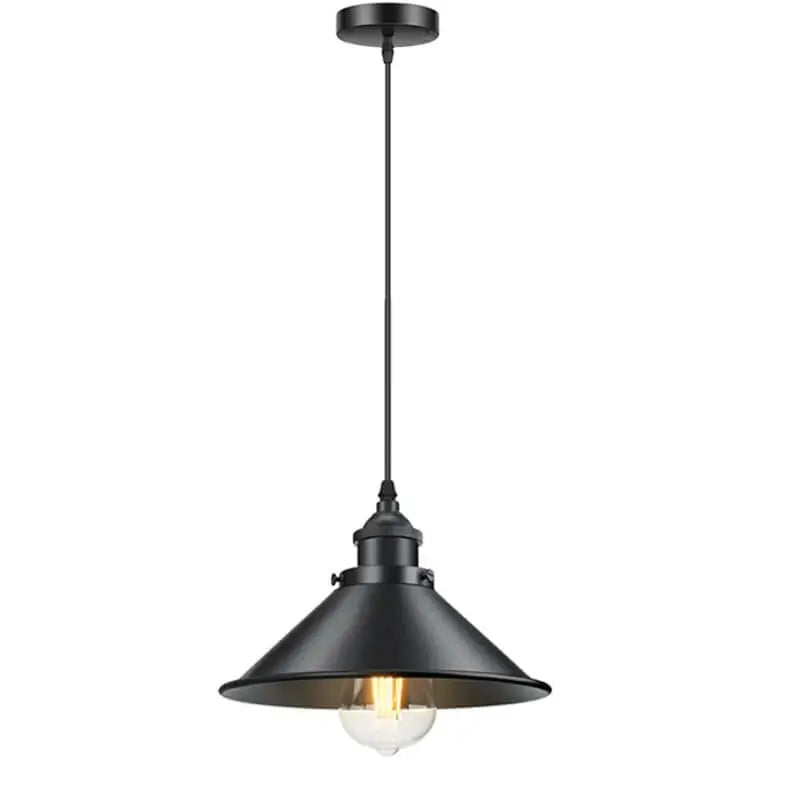 A single black industrial pendant light with a clear glass bulb, hanging against a white background.