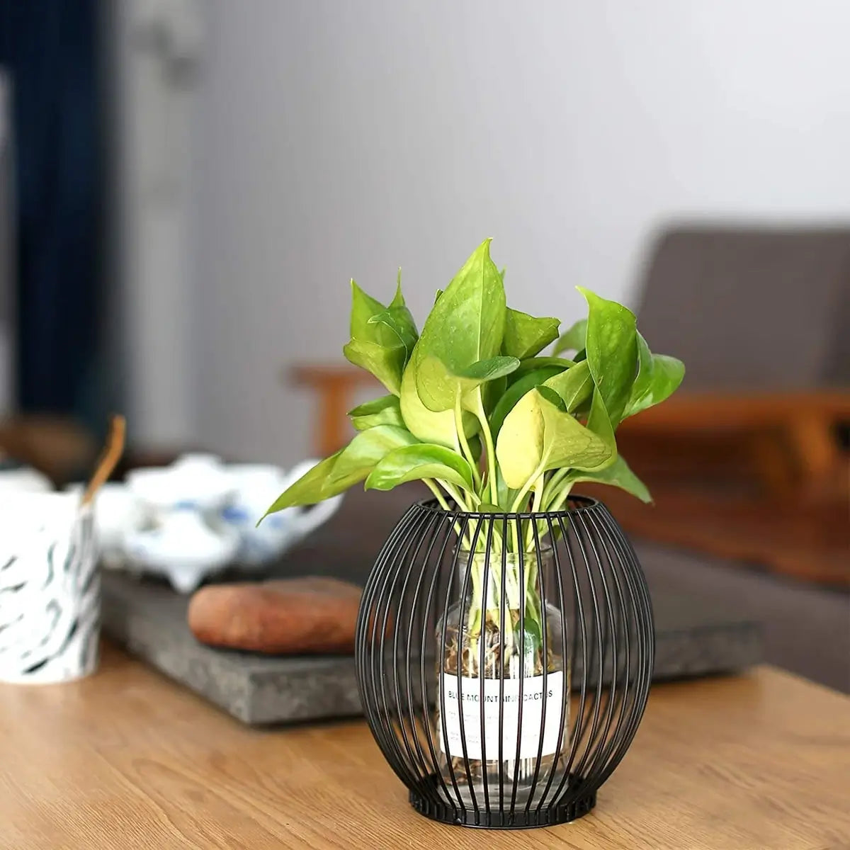 Minimalist black metal wire vase used as a potted plant holder, stylish modern home decor for living rooms and offices.