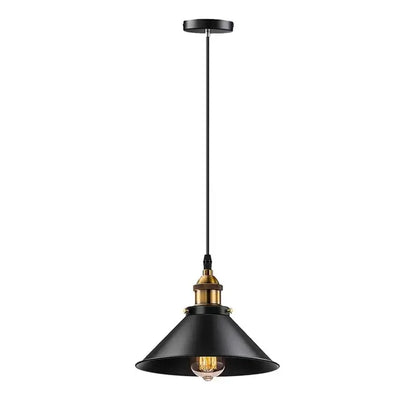 A single black industrial pendant light with a brass lamp holder and an Edison style bulb, isolated on a white background.