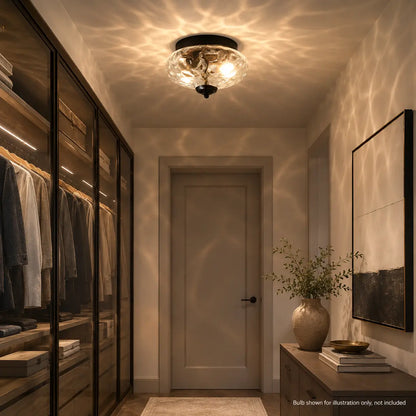 Flush mount ceiling light lit in a walk-in closet hallway, glass texture scattering light onto the walls and door.
